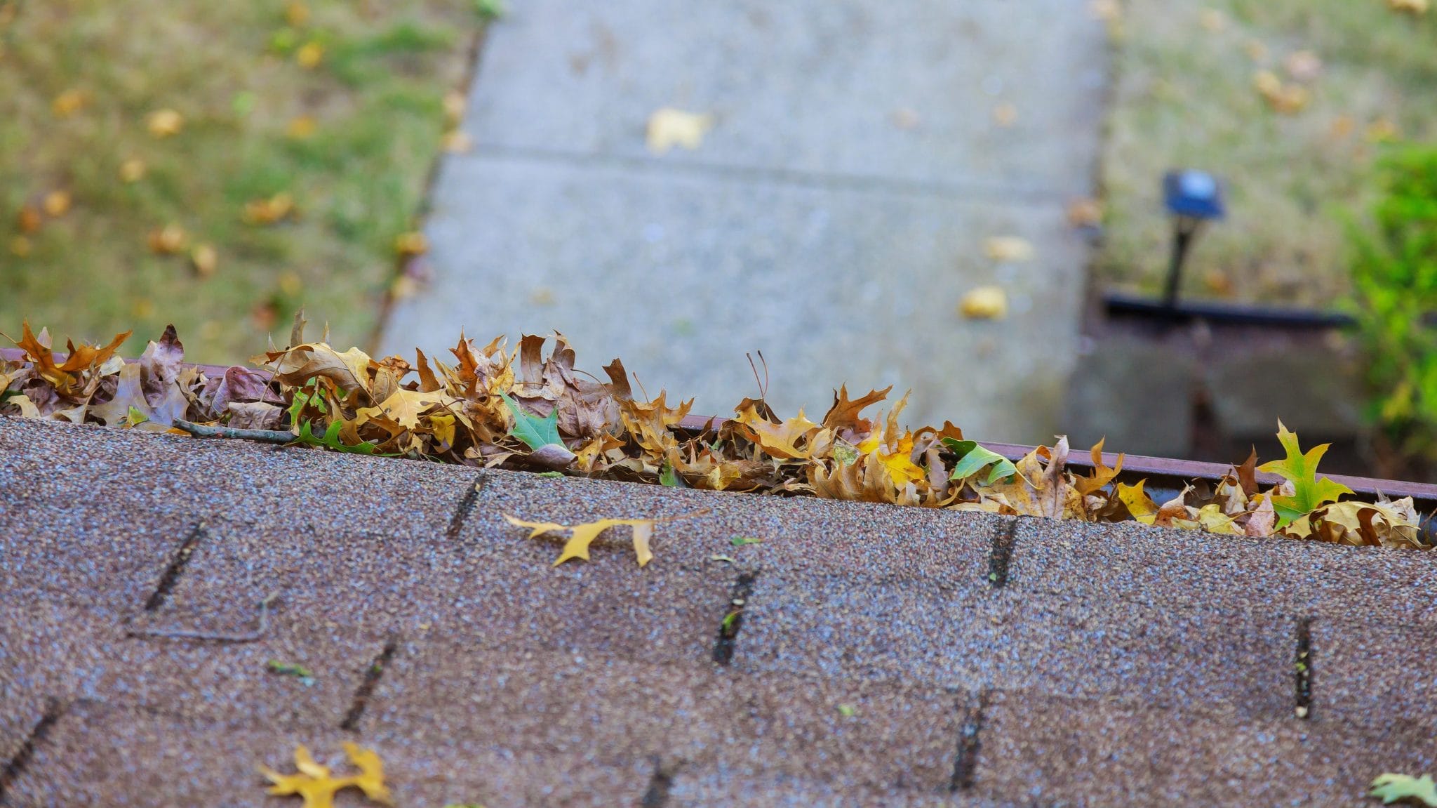 Sammalta katolla-Parhaat vinkit poistoon ja ennaltaehkäisemiseen